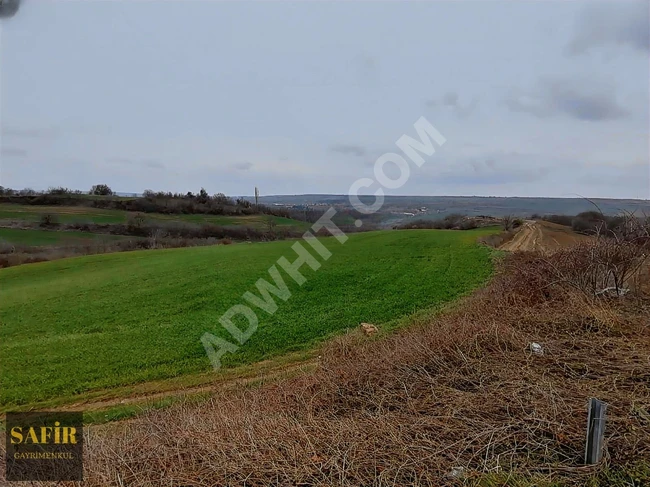 A piece of land measuring 22,900 square meters located on the D100 highway in Tekirdağ, with a frontage of 150 meters