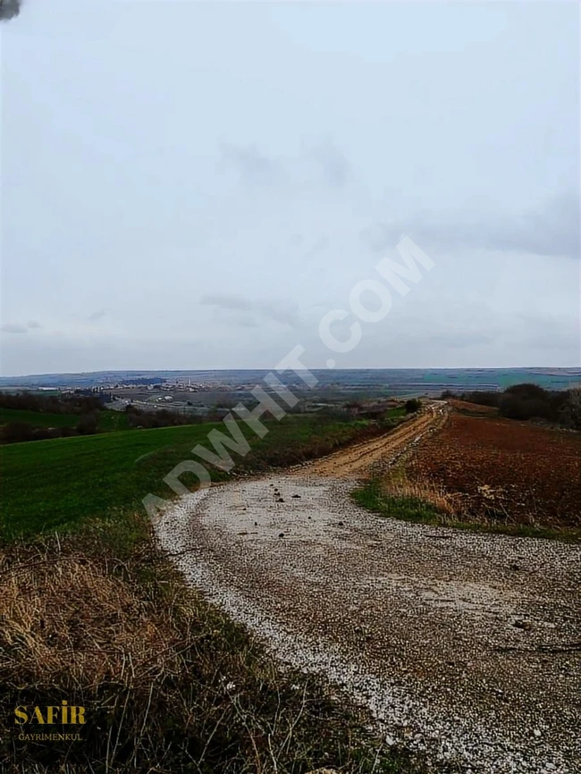 A piece of land measuring 22,900 square meters located on the D100 highway in Tekirdağ, with a frontage of 150 meters