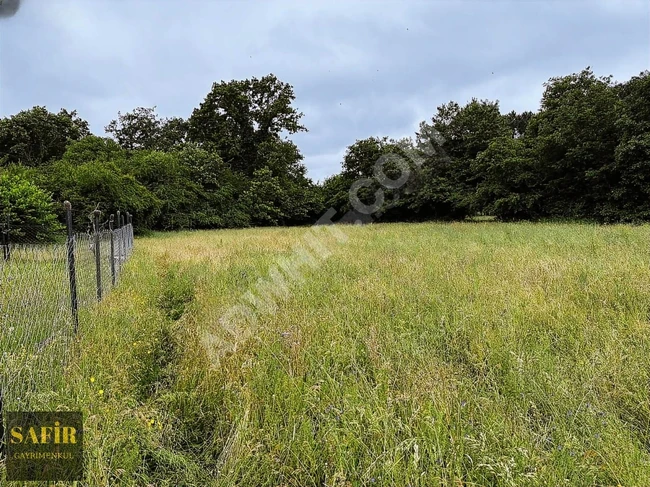 A 350 square meter agricultural land containing a residential container in Çatalca Karacaköy