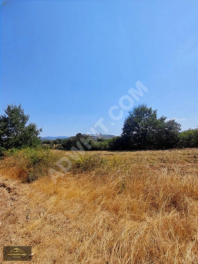 For sale: agricultural land in the village of Karabieh in the town of Yenice, Canakkale