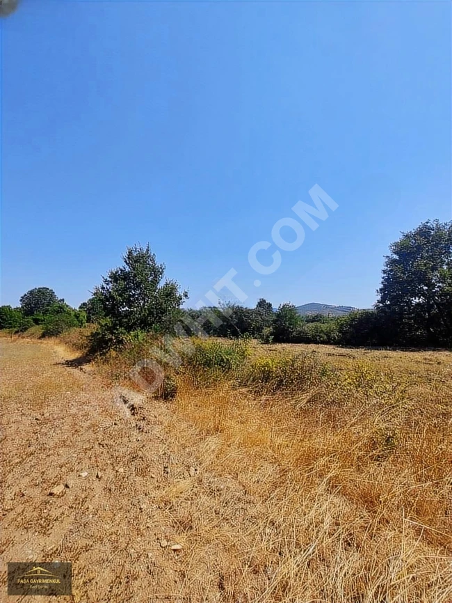 Land for sale in Karabieh Village, Yenice, Çanakkale