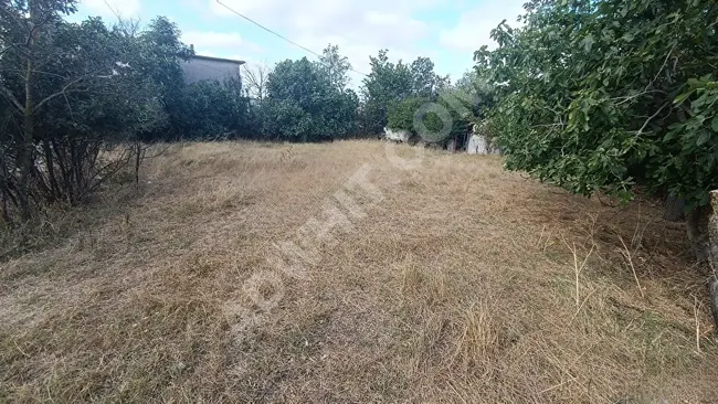 Independent land for sale with an area of 843m² containing a rural house in ÇORLU ŞAHPAZ