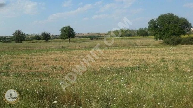 Separate agricultural land, 8117 square meters, Kırklareli, Çukurpınar