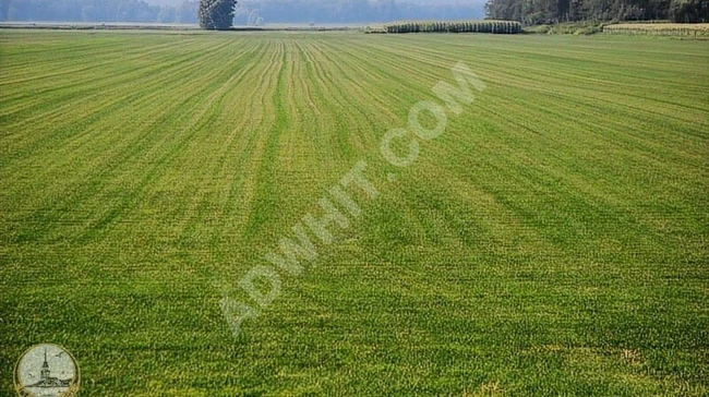 Separate agricultural land, 8117 square meters, Kırklareli, Çukurpınar