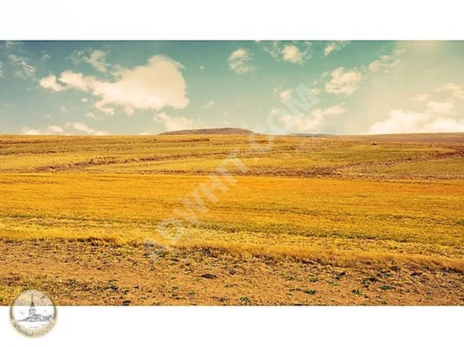 Separate agricultural land, 8117 square meters, Kırklareli, Çukurpınar