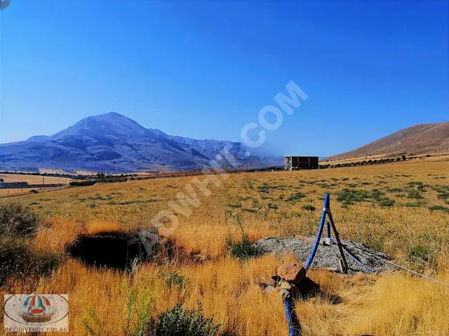 A Shared Agricultural Land - GÜBLÜCE