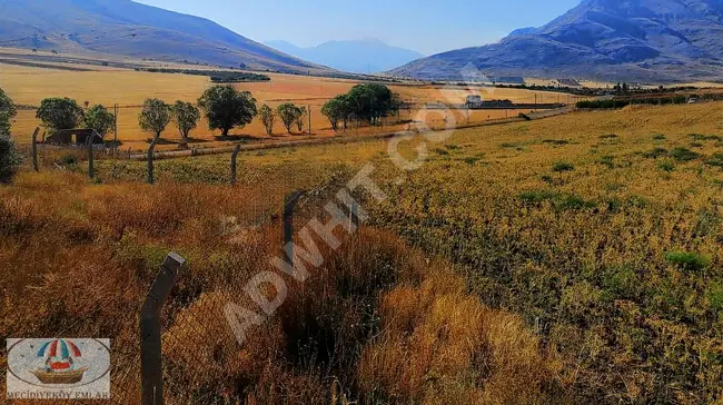 A Shared Agricultural Land - GÜBLÜCE