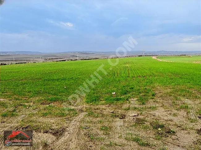 In SİLİVRİ, in ALİPAŞA, an independent plot of land for sale with an area of 14,740 m²