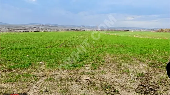 In SİLİVRİ, in ALİPAŞA, an independent plot of land for sale with an area of 14,740 m²