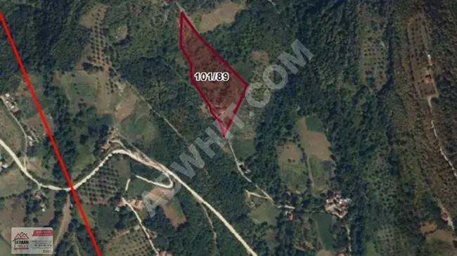 For sale: A single-story house and agricultural land with an area of 15,935 square meters in the Başiskele area, Kocaeli