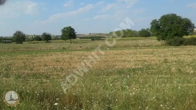 Common land in the Çatalca, Örencik, Ayazma area of İstanbul House