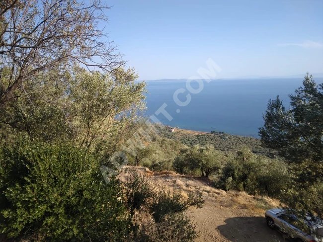 Agricultural land on ARIKLI KÖY road with full sea view on ASOS road