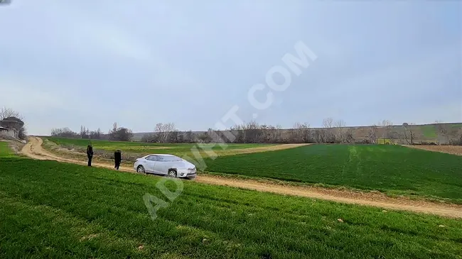 For sale: farm land with area of 6700 m², frontage 55 m², official road