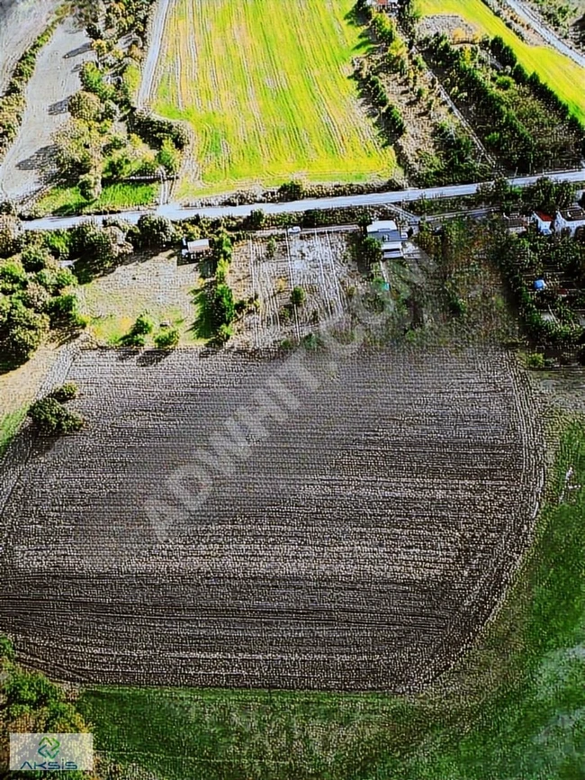 A garden in the canal project near the airport in the distinguished BUTİK neighborhood