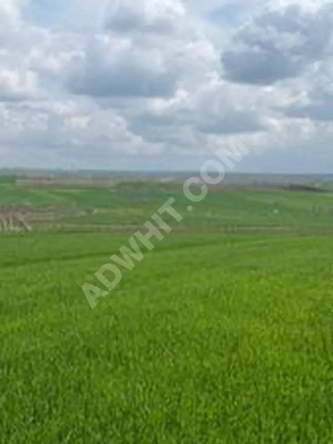 Land for sale in Keşan Beyendik Beldesi with an area of 317m² - Nature view