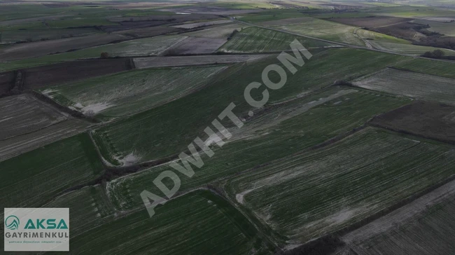 Agricultural land for sale with an area of 3500 square meters in EDİRNE İPSALA TURPÇULAR