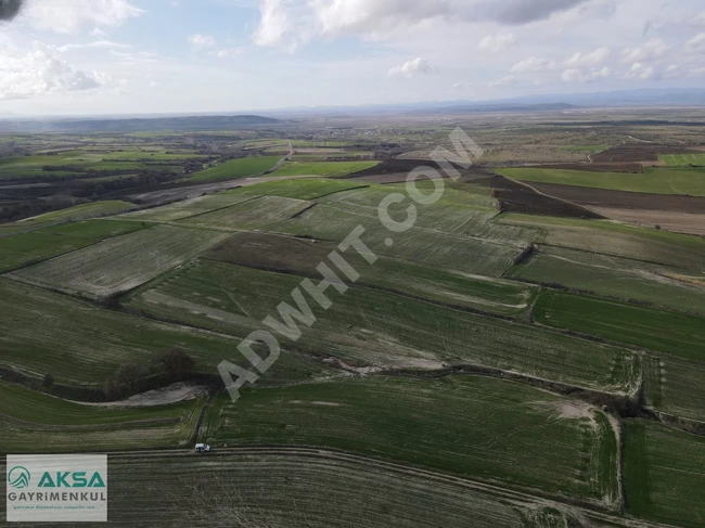 Agricultural land for sale with an area of 3500 square meters in EDİRNE İPSALA TURPÇULAR