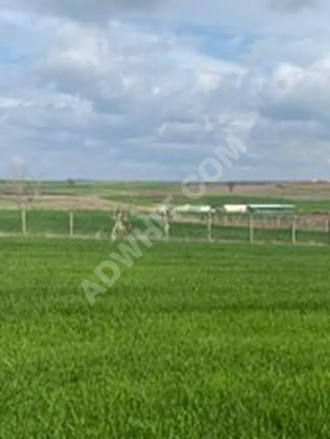 Land for sale in Keşan Beyendik Beldesi with an area of 317m² - Nature view