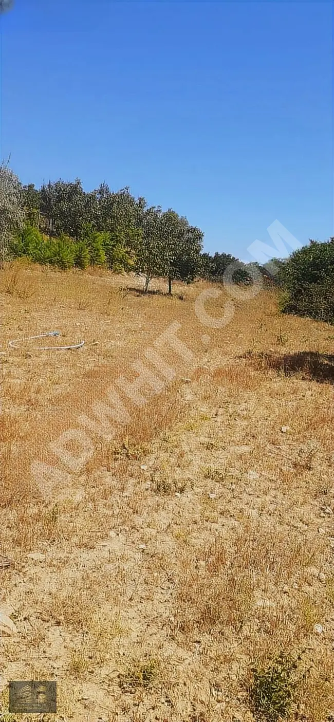 Land for sale with an area of 1470 m² in the village of EDİRNE - KEŞAN - SULUCA