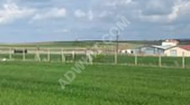 Land for sale in Keşan Beyendik Beldesi with an area of 317m² - Nature view