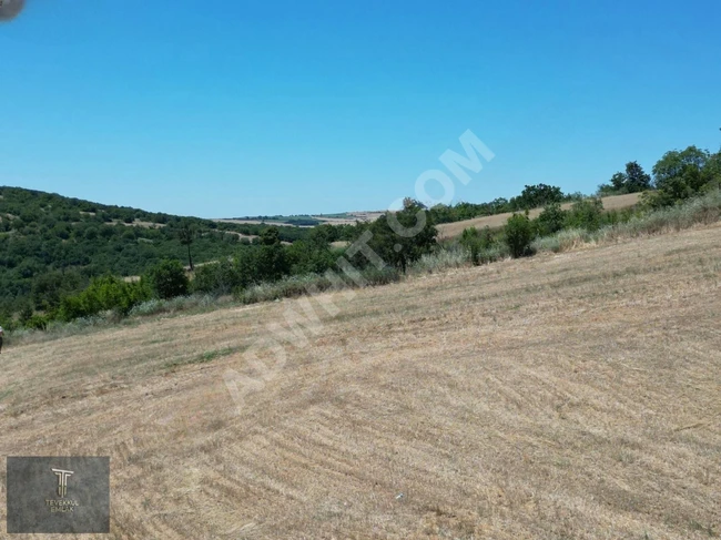 Land with one title deed for sale in Tekirdağ Malkara Dereköy