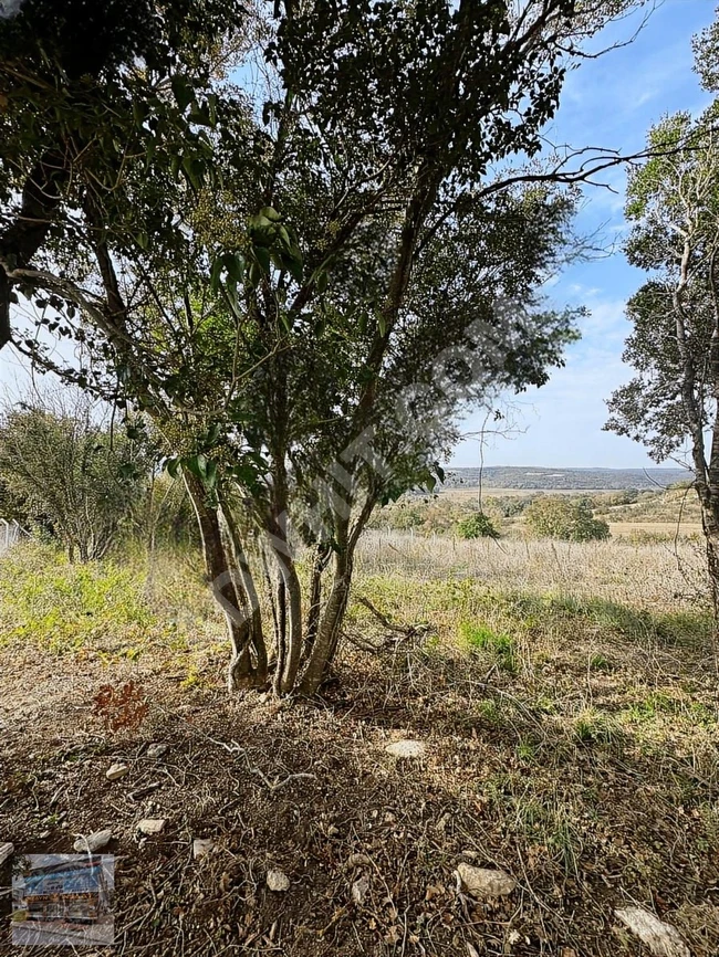 Wonderful land for sale, measuring 1132 square meters, amid stunning nature in ARNAVUTKÖY BALABAN