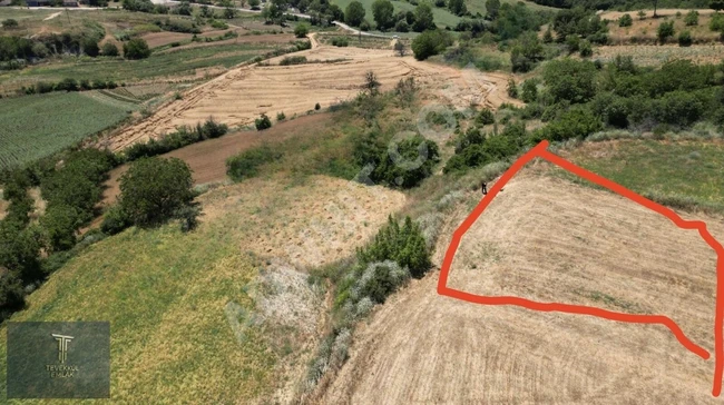 Land with one title deed for sale in Tekirdağ Malkara Dereköy