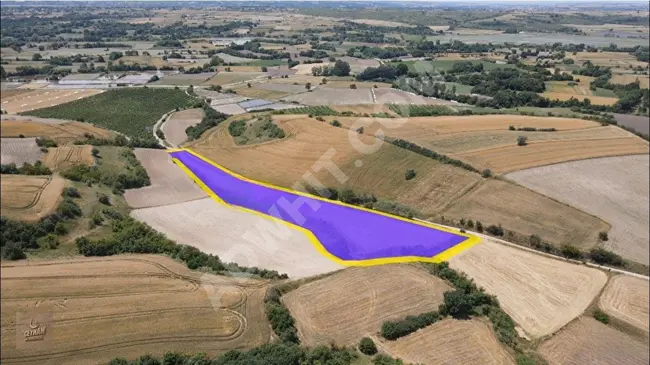 Land with an area of 4,900 square meters, facing the road with a single title deed in Kırklareli Pehlivanköy Kuştepe