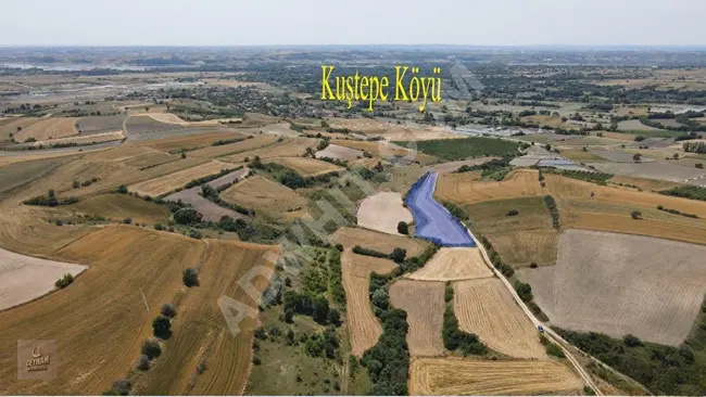 Land with an area of 4,900 square meters, facing the road with a single title deed in Kırklareli Pehlivanköy Kuştepe