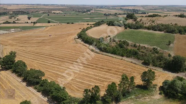 Independent land 2,889 m² on a high peak near the village in Edirne Uzunköprü Ömerbey