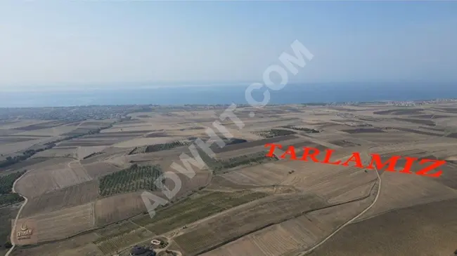 A land with an area of 416 m² in a prime location in Marmaraereğlisi Çeşmeli, with an open road all year round