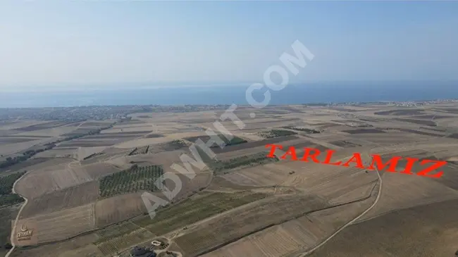 Land with an area of 269 square meters with a sea view near the asphalt in MARMARAEREĞLİSİ ÇEŞMELİ