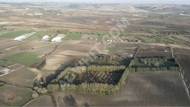 Independent plot of land with an area of 11,766 m² in an excellent location on the main street in Kestanelik