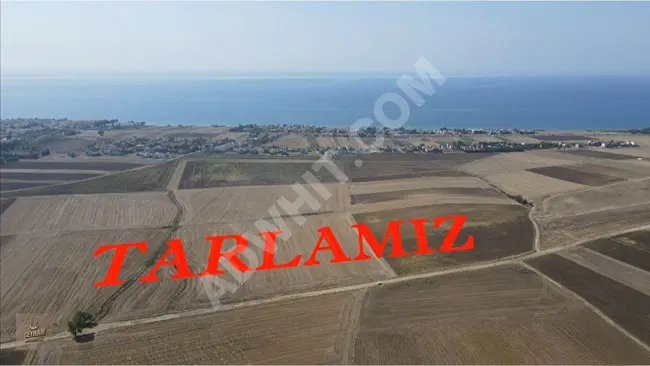 For sale: Land of 250 square meters in the area of Marmaraereğlisi Çeşmeli, overlooking the sea and close to the asphalt