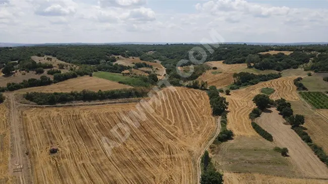 Independent land 2,889 m² on a high peak near the village in Edirne Uzunköprü Ömerbey