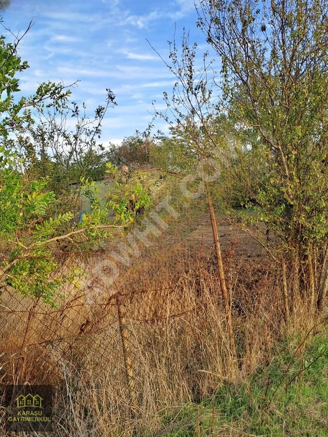 Land with an area of 1340 square meters for sale with an independent title deed in EDİRNE İPSALA SULTANKÖY