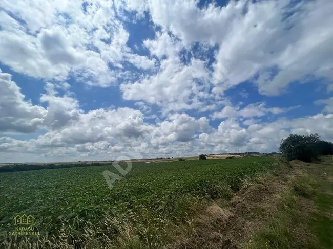 Agricultural land with an area of 915 m² in Çatalca Çiftlikköy, surrounded by nature