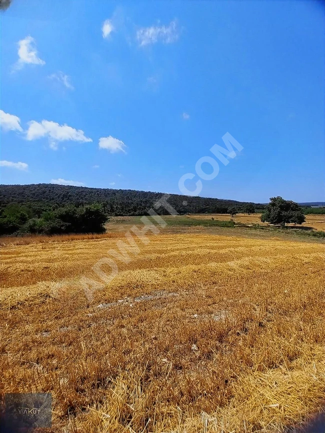 في قرية Kırkkavak في Uzunköprü، Edirne، قطعة أرض مستقلة مناسبة للاستثمار.