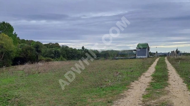 Land with an area of 1340 square meters for sale with an independent title deed in EDİRNE İPSALA SULTANKÖY