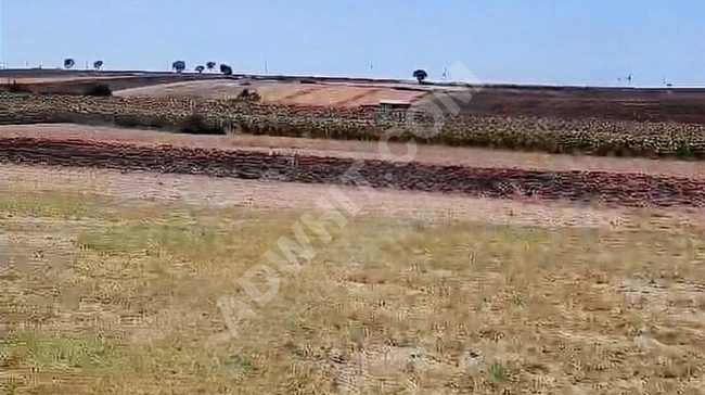 In the village of Kırkkavak in Uzunköprü, Edirne, an independent plot of land suitable for investment