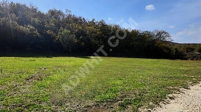 Plot of land with an area of **575 m²**, surrounded by nature in Çatalca Çiftlikköy