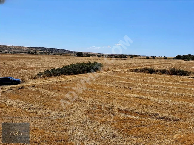 Independent plot facing the pastures in the village of EDİRNE UZUNKÖPRÜ KIRKKAVAK