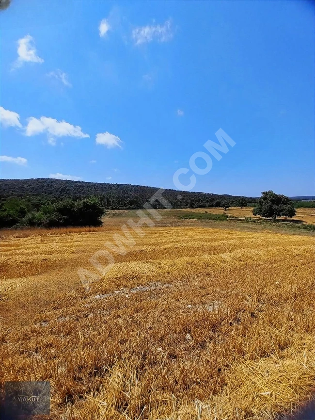 In Uzunköprü, Edirne, an independent plot of land suitable for investment