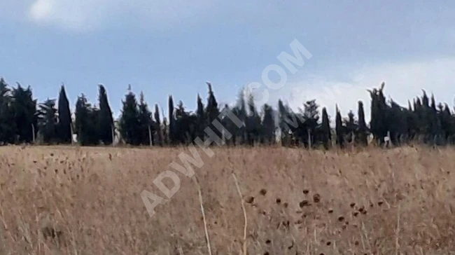 Land with an area of 5300 square meters for sale with an independent deed in EDİRNE UZUNKÖPRÜ KURTBEY