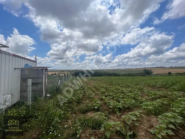 Agricultural land with an area of 915 m² in Çatalca Çiftlikköy, surrounded by nature