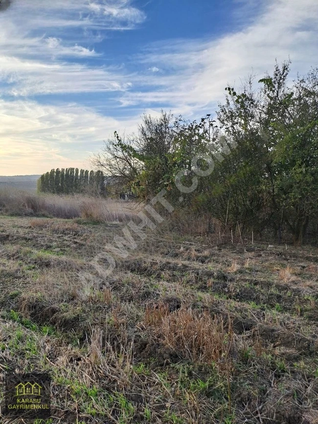 Land with an area of 1340 square meters for sale with an independent title deed in EDİRNE İPSALA SULTANKÖY