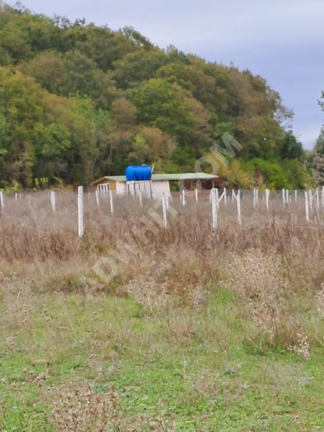 Land plot of 550 square meters fenced with a residential container in ÇATALCA KABAKÇA