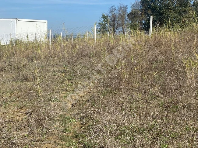 Land 4200 square meters with title deed in TEKİRDAĞ SARAY KAVACIK