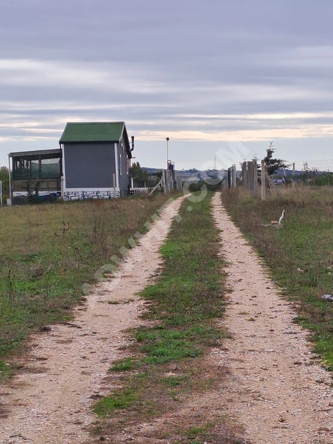 Land plot of 550 square meters fenced with a residential container in ÇATALCA KABAKÇA