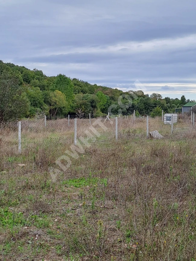 Land of 4200 square meters with title deed in TEKİRDAĞ SARAY KAVACIK